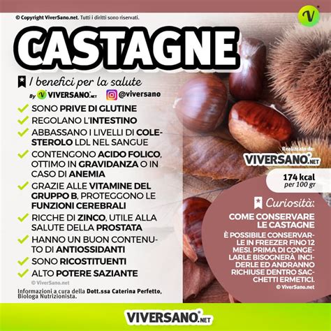 hermes del monte castagna|Castagne: benefici, varietà, valori nutrizionali e dove trovarle.